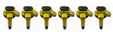 6 Ignition Coils FOR 11+ F150 Flex Transit Police Interceptor 3.5 Ecoboost Turbo