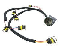 8 Pin Connector Fuel Injector Wiring Harness for Perkins 1206 Diesel 6 Cylinder