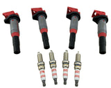 4 Pack Ignition Coils & Spark Plugs for 220i 228i 328i 428i 520i 528i X1 X3 X4