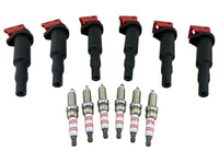 6 Pack Ignition Coils & Spark Plugs for 135i 335i 535i X6 Z4 N54 3.0L Twin Turbo
