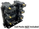 Smart Coil Bracket Mounting Hardware FOR 6 IGN1A Holley AEM Haltech MoTeC PROEFI
